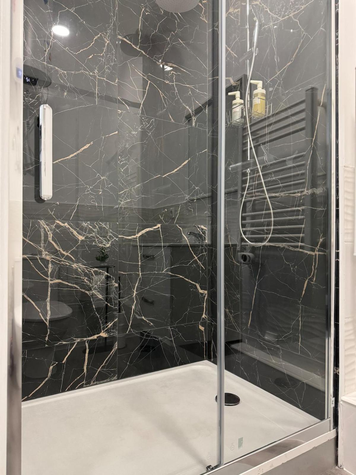 Lune Argentee - Centre Ferrand *